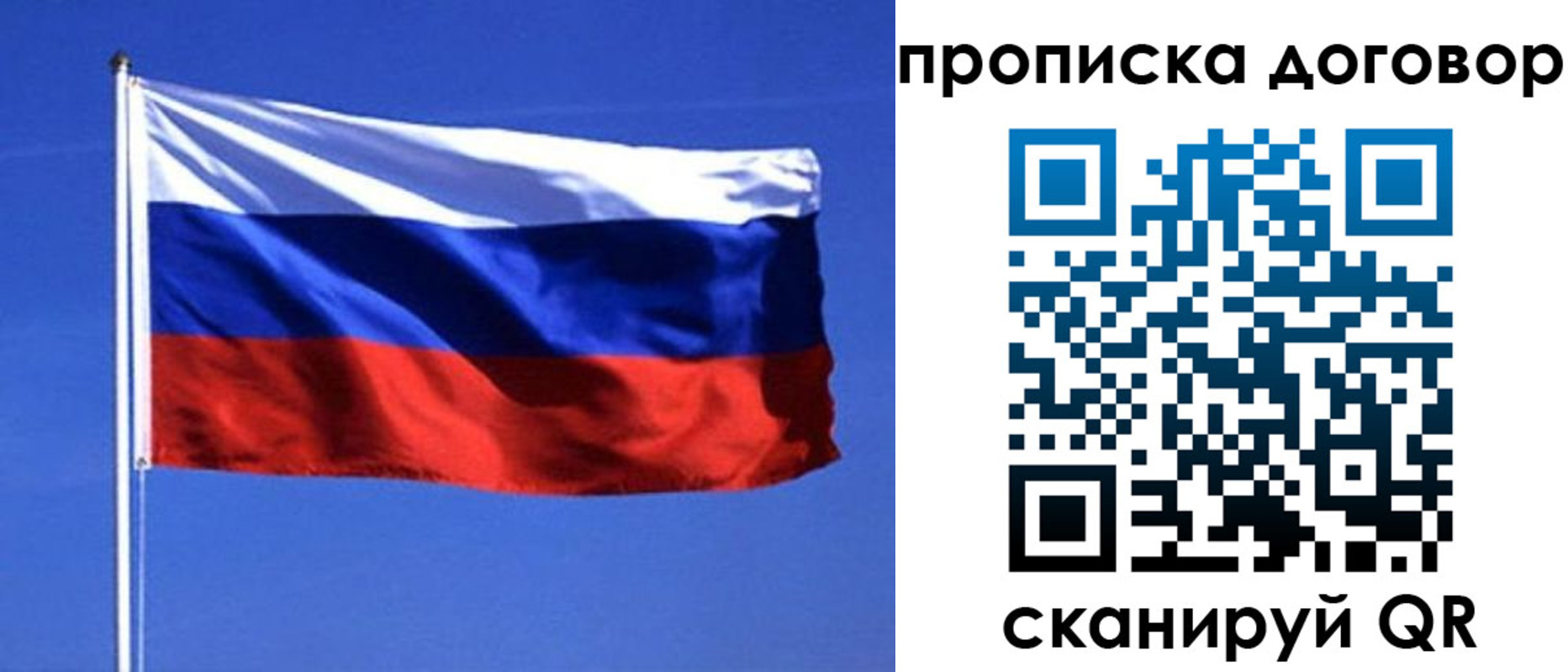 прописка поиск в Энгельсе
